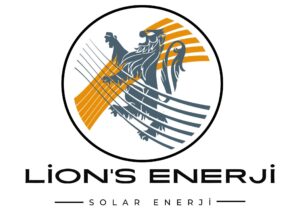 lions enerji